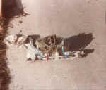 65_stang_engine26.jpg (56996 bytes)